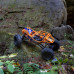 1/10 RBX10 Ryft 4WD Brushless 4S Rock Bouncer RTR, Orange by Axial 1/10 RBX10 Ryft 4WD Brushless 4S Rock Bouncer RTR, Orange by Axial