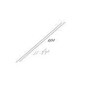 Pushrods with Accessories: Champ Pushrods with Accessories: Champ