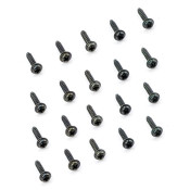 Self-Tapping Screw Pan head washer Philips, M2x10 By Thunder Tiger Self-Tapping Screw Pan head washer Philips, M2x10 By Thunder Tiger