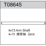 Arm Shaft, Team C
