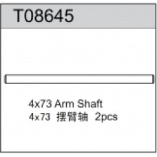 Arm Shaft, Team C Arm Shaft, Team C