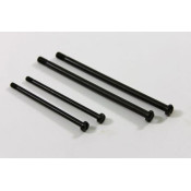 Suspension Arm Shafts (4) 1:8