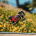 TYPHON GROM 223S BLX Brushless 4X4 Small Scale 1/14  Buggy RTR with Battery & Charger, Red by ARRMA SRP $499.01