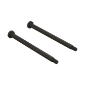 HD Threaded Hinge Pin (2) by Arrma SRP $23.70 HD Threaded Hinge Pin (2) by Arrma SRP $23.70