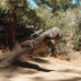 1/7 MOJAVE 6S EXB 4X4 RTR Brushless Desert Truck, Black By ARRMA SRP $1749.01 1/7 MOJAVE 6S EXB 4X4 RTR Brushless Desert Truck, Black By ARRMA SRP $1749.01