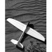 Ahi kit w/servos and Rx batt by Dreamflight