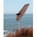 Weasel-TREK kit ONLY by Dreamflight SRP $338.10 Weasel-TREK kit ONLY by Dreamflight SRP $338.10