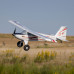 Timber 1.5m 10th Anniversary Special Edition BNF Basic with AS3X+ and SAFE Select by Eflite SRP $799.01