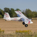 Timber 1.5m 10th Anniversary Special Edition BNF Basic with AS3X+ and SAFE Select by Eflite SRP $799.01
