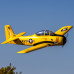 Carbon-Z T-28 Trojan 2.0m with Smart BNF Basic by Eflite SRP $1731.36