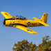 Carbon-Z T-28 Trojan 2.0m with Smart BNF Basic by Eflite SRP $1731.36