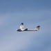 Night Radian 2.0m BNF Basic with SAFE select & AS3X by Eflite SRP $548.98 Night Radian 2.0m BNF Basic with SAFE select & AS3X by Eflite SRP $548.98
