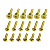 Gold Brake Disk Screw Set PM-MX by Hot Racing SRP $26.04