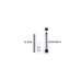 Yokomo Inner Hardened Arm Pin/Suspension Shaft 3x42.1mm (w/Alum Locknuts) (2) YZ-870C / YZ-10 by Koswork SRP $16.41 Yokomo Inner Hardened Arm Pin/Suspension Shaft 3x42.1mm (w/Alum Locknuts) (2) YZ-870C / YZ-10 by Koswork SRP $16.41