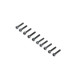Cap Head Screws M2 x 10mm (10) (Replaces TLR245008) by LOSI SRP $10.49