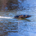 Heatwave Recoil 2 V2 26 Self-Righting, Brushless: RTR by Pro Boat SRP $940.44