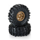 Limited Edition Mickey Thompson Baja Pro X G8 1.9