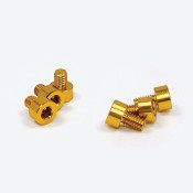 X-Factor Aluminum Screw Kit Gold 3ea 5mm, 6mm (6) by Trinity SRP $61.72 X-Factor Aluminum Screw Kit Gold 3ea 5mm, 6mm (6) by Trinity SRP $61.72