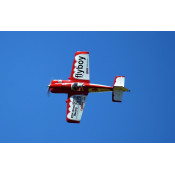 Cassutt 3M Air Race 65 Inch ARF 50-60cc Red by Seagull SRP $1143.57