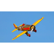 Pursuit Squadron P-26A Peashooter 71 Inch wingspan 30cc - Olive Drab 0.2m3 by Seagull SRP $1103.05