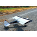 Shock Cub 38-50cc span 2.59m Silver w/wingbags by Seagull Models SRP $1673.50