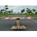 1/3 Scale Morane Saulnier A-1 40-60cc, 103in by Seagull Models 0.434m3 SRP $1820.91 1/3 Scale Morane Saulnier A-1 40-60cc, 103in by Seagull Models 0.434m3 SRP $1820.91