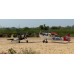 Giant Scale Cessna Bird Dog DeadEye 122 Inch ARF 70-125cc NEW 2024 by Seagull SRP $2167.75