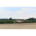 Giant Scale Cessna Bird Dog DeadEye 122 Inch ARF 70-125cc NEW 2024 by Seagull SRP $2167.75