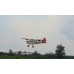 Giant Scale Cessna Bird Dog DeadEye 122 Inch ARF 70-125cc NEW 2024 by Seagull SRP $2167.75