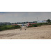 Giant Scale Cessna Bird Dog DeadEye 122 Inch ARF 70-125cc NEW 2024 by Seagull SRP $2167.75