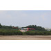 Giant Scale Cessna Bird Dog DeadEye 122 Inch ARF 70-125cc NEW 2024 by Seagull SRP $2167.75