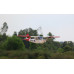 Giant Scale Cessna Bird Dog DeadEye 122 Inch ARF 70-125cc NEW 2024 by Seagull SRP $2167.75