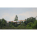 Giant Scale Cessna Bird Dog  Chickenman 122 Inch ARF 70-125cc NEW 2024 by Seagull SRP $2180.76