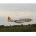 P-51D Charlottes Chariot II 71 inch ARF 35cc without Retracts NEW 2024 by Seagull SRP $1337.17 P-51D Charlottes Chariot II 71 inch ARF 35cc without Retracts NEW 2024 by Seagull SRP $1337.17