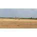 Piper Cherokee PA-28 Mustang Tribute ARF 87 Inch ARF 35cc NEW 2026 by Seagull SRP $1328.16 Piper Cherokee PA-28 Mustang Tribute ARF 87 Inch ARF 35cc NEW 2026 by Seagull SRP $1328.16
