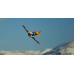Dewoitine D-520 71 Inch wingspan 26-30cc included Electric Retracts, Matte Finish by Seagull SRP $1283.14 Dewoitine D-520 71 Inch wingspan 26-30cc included Electric Retracts, Matte Finish by Seagull SRP $1283.14
