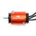 Firma 4685 4-Pole Brushless Marine Motor 740Kv by Spektrum SRP $313.39 Firma 4685 4-Pole Brushless Marine Motor 740Kv by Spektrum SRP $313.39