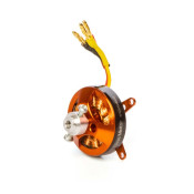 Avian 2813-1750Kv Outrunner Brushless Motor by Spektrum Avian 2813-1750Kv Outrunner Brushless Motor by Spektrum