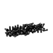 Black Scale Wheel Screw Kit by Vanquish SRP $45.71
