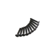 AR722316 Flat Head Screw 3x16mm (10) AR722316 Flat Head Screw 3x16mm (10)